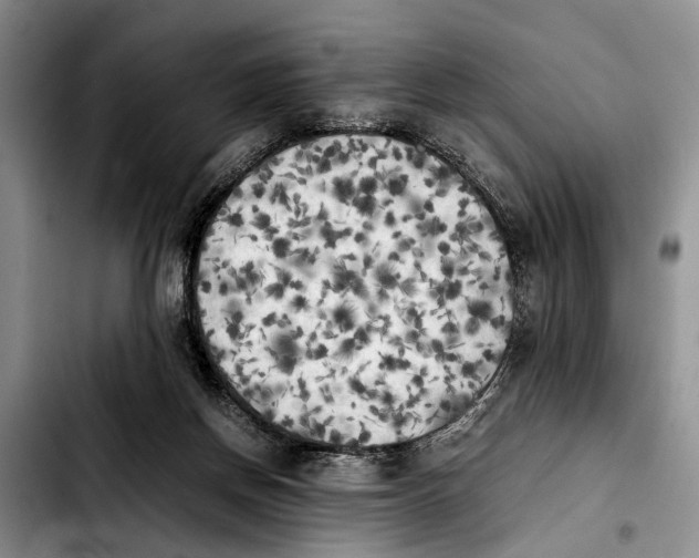 X0000103900166200810101253