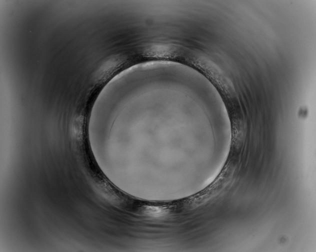 X0000103900167200810101253