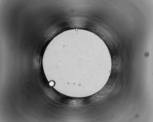 X0000103900168200810101253