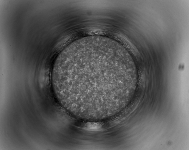 X0000103900169200810101253