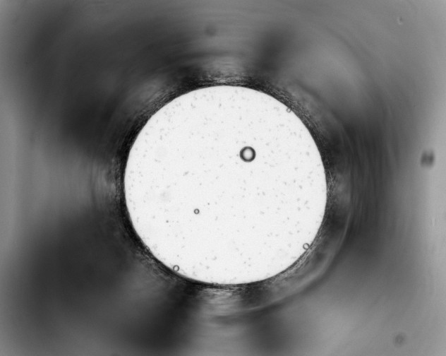 X0000103900170200810101253