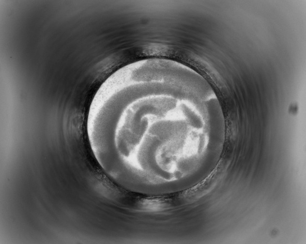 X0000103900171200810101253