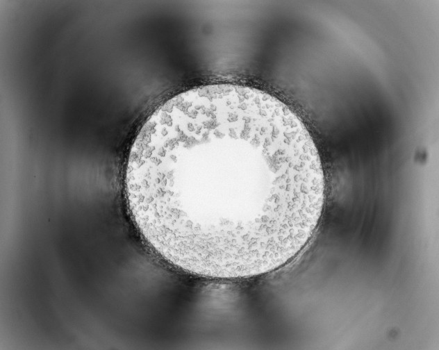 X0000103900174200810101253