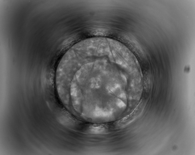 X0000103900175200810101253