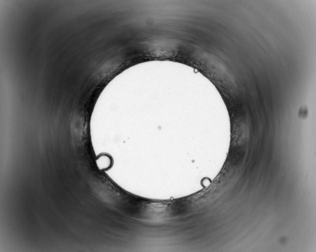 X0000103900176200810101253