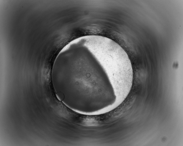 X0000103900177200810101253