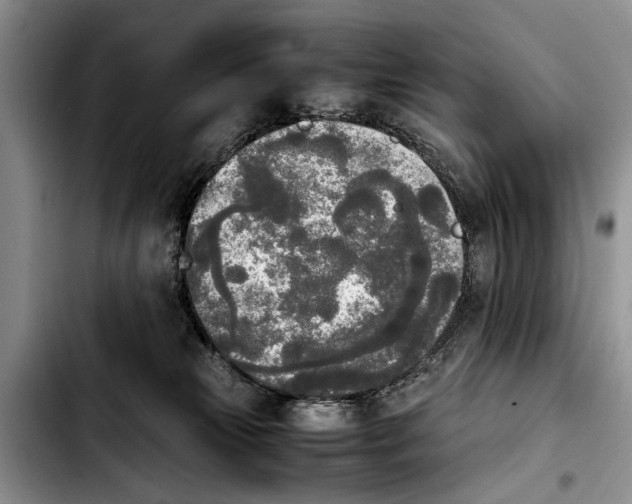 X0000103900181200810101253