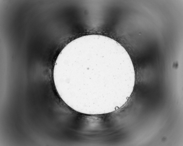 X0000103900183200810101253