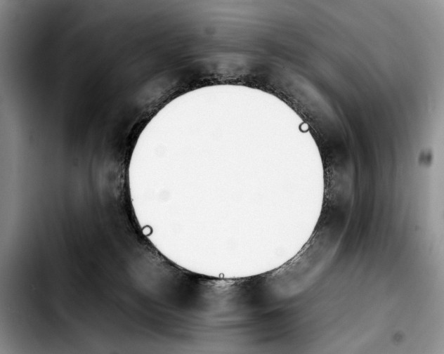 X0000103900184200810101253