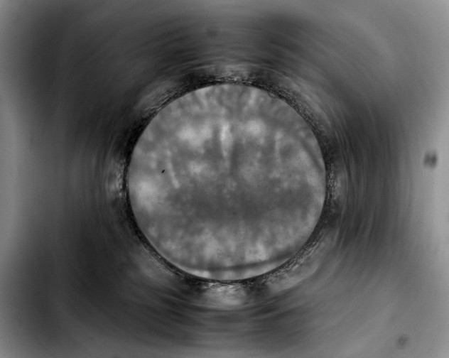 X0000103900185200810101253