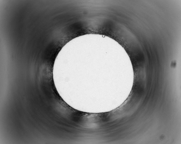 X0000103900186200810101254