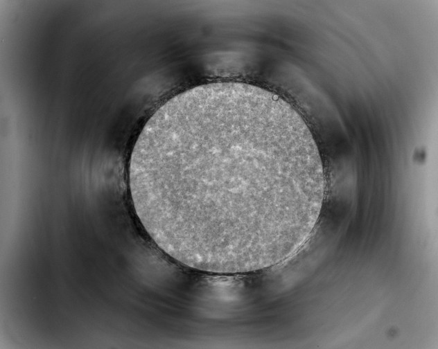 X0000103900187200810101254