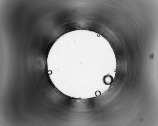 X0000103900188200810101254