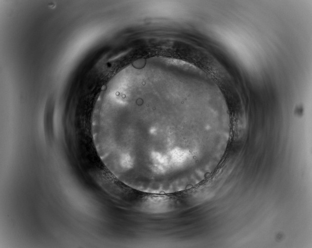 X0000103900189200810101254