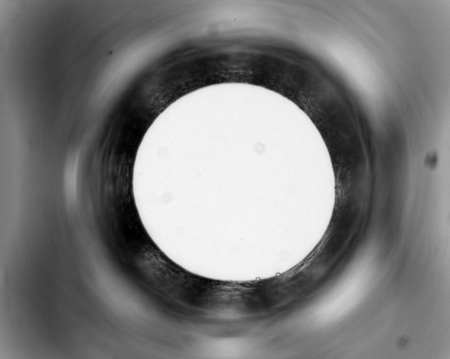 X0000103900190200810101254