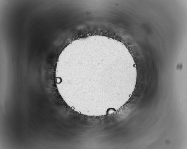 X0000103900192200810101254