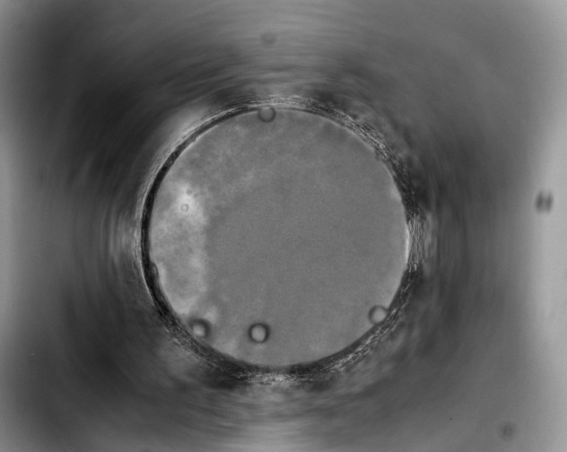 X0000103900195200810101253