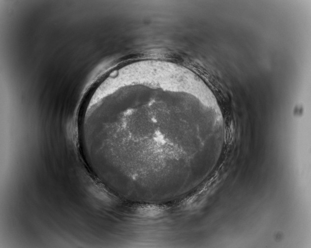 X0000103900198200810101253