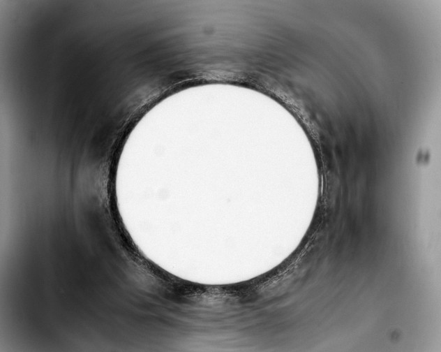 X0000103900201200810101253