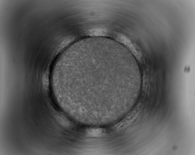 X0000103900202200810101253