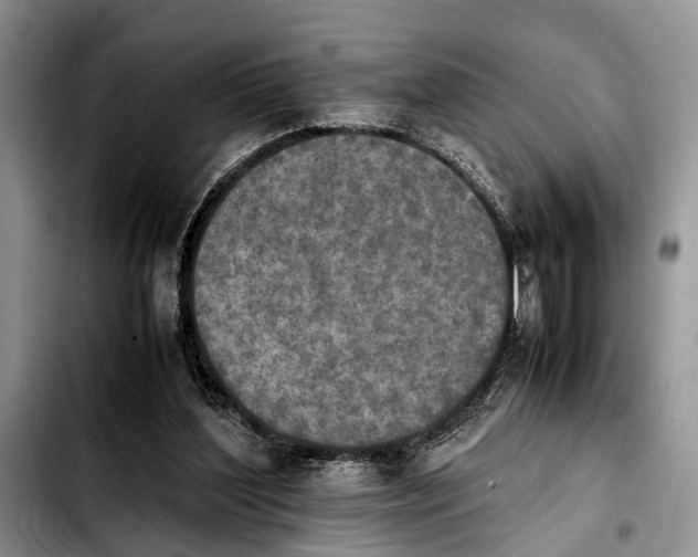 X0000103900204200810101253