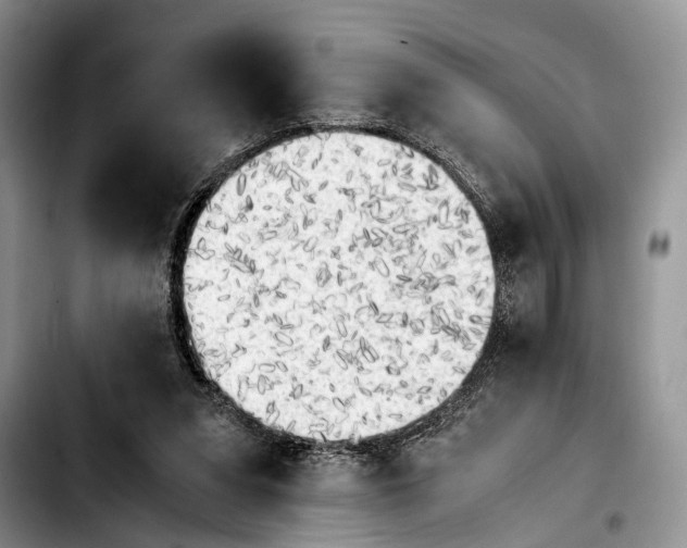 X0000103900207200810101253