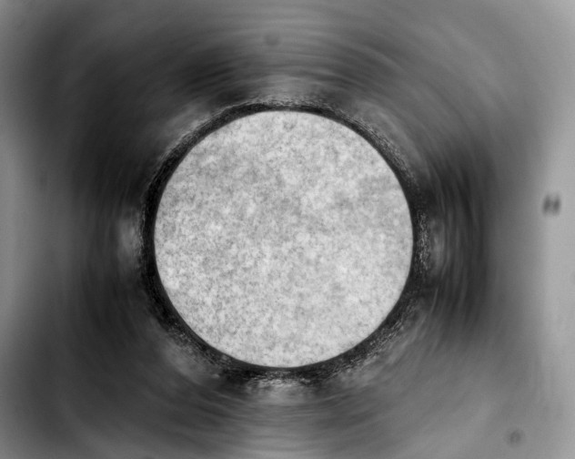 X0000103900208200810101253