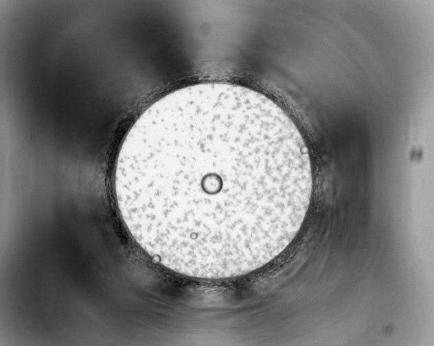 X0000103900209200810101253