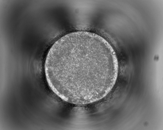 X0000103900211200810101253