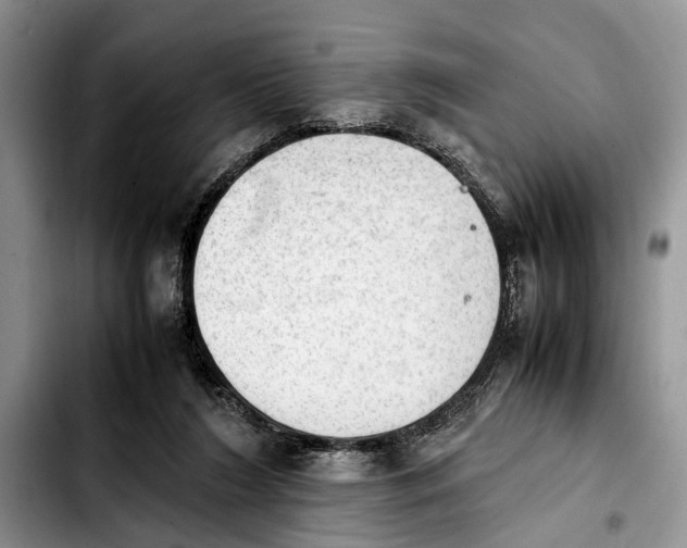 X0000103900212200810101253