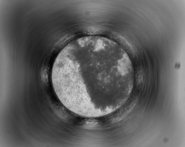 X0000103900214200810101253