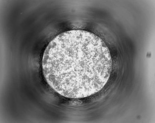 X0000103900215200810101253