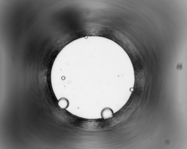 X0000103900217200810101253