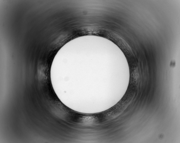 X0000103900218200810101253