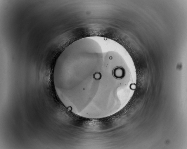 X0000103900219200810101253