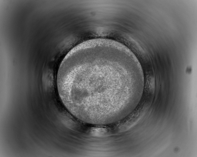 X0000103900220200810101253