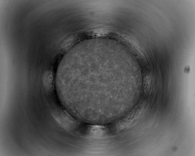 X0000103900222200810101253