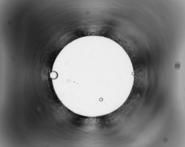 X0000103900225200810101252