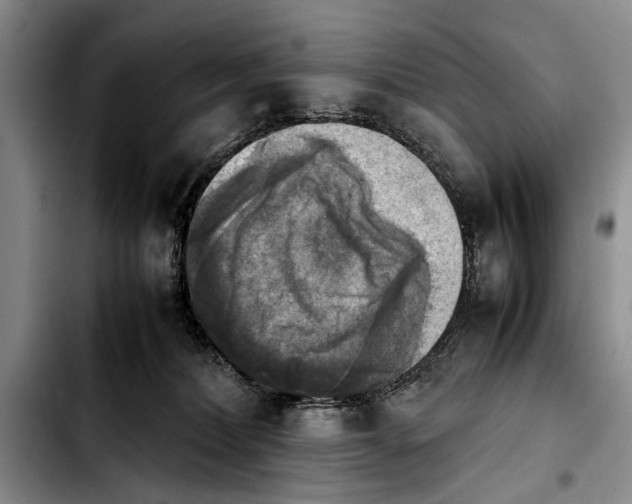 X0000103900228200810101252