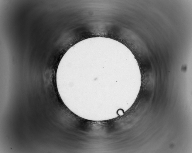 X0000103900229200810101252