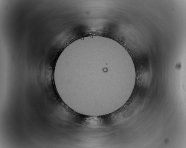 X0000103900231200810101252