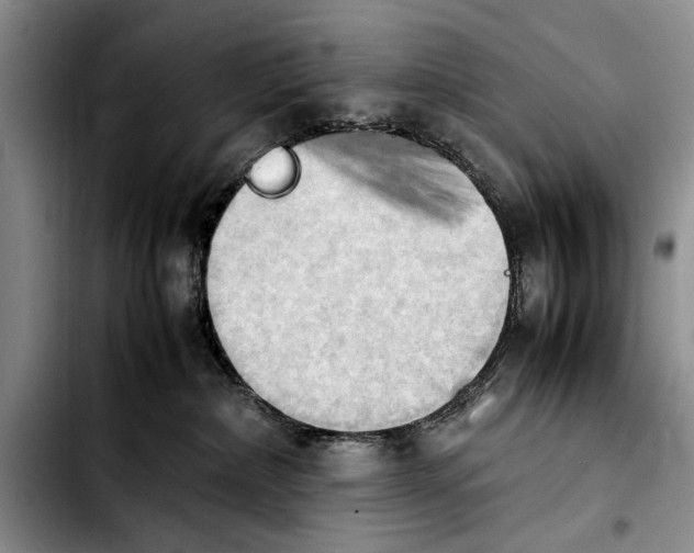 X0000103900236200810101252