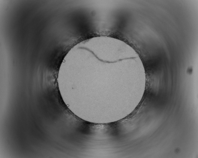 X0000103900237200810101252