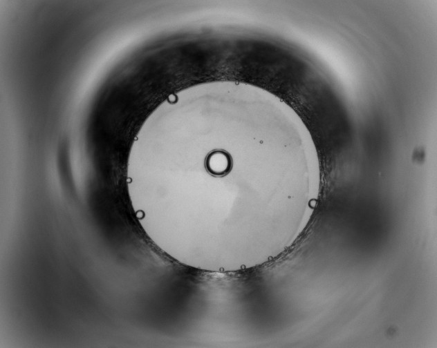 X0000103900239200810101252