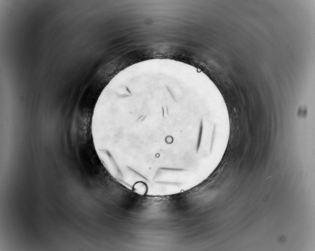 X0000103900240200810101252