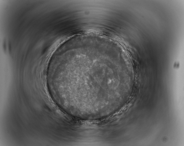 X0000103900241200810101251