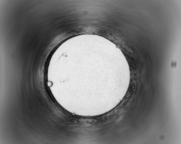 X0000103900242200810101251