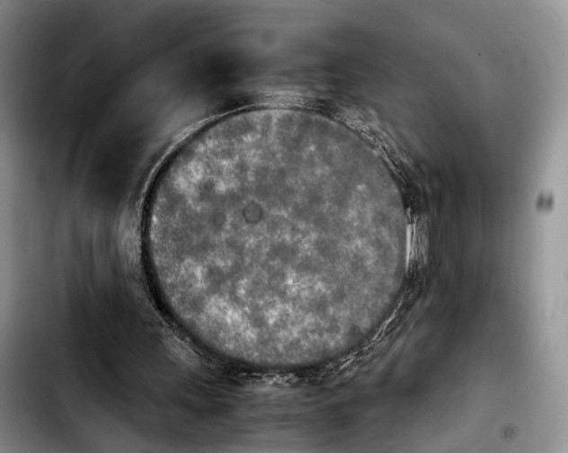 X0000103900243200810101251