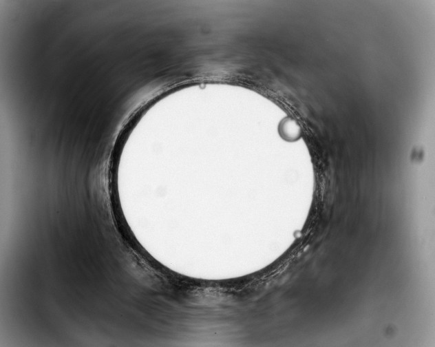 X0000103900244200810101251