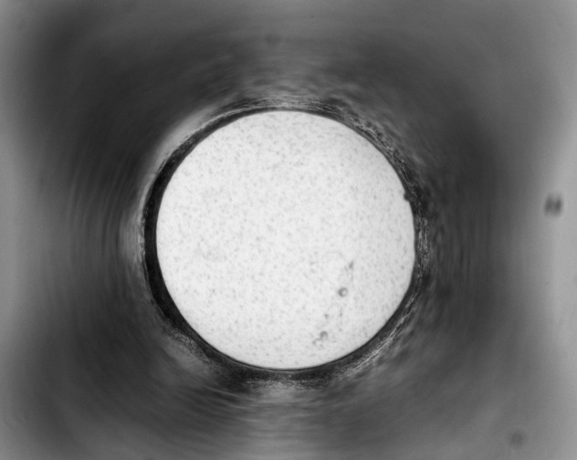 X0000103900246200810101251